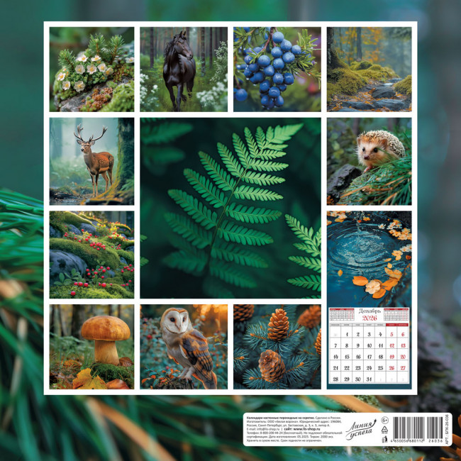 Календарь на скрепке 2026г "Таинственный лес", БПК-26-036 (10)