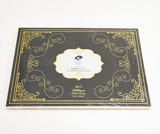 Скетчбук А4 (195х270мм) 20л. акварельная бумага, крупнозернистая, 300гр/м, черный, Paul Rubens  WLB-38  №0110001053 (1/1/40)