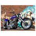 Набор для творчества "Рисование по номерам". E008 Байк 40*50
