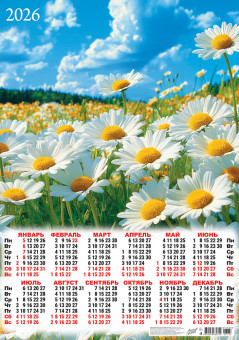 Календарь-плакат А2 2026г "Ромашки", ПО-26-133