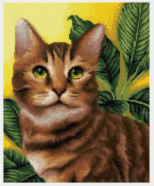 Алмазная мозаика 40*50 на подрамнике "Зеленоглазый красавец", полная выкладка, ALM022