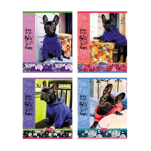 Тетрадь общая А5 скоба 40л. одна линия "Модница" (ассорти) BG (10/100) Тетрадь общая А5 скоба 40л. одна линия "Модница" (ассорти) BG (10/100)