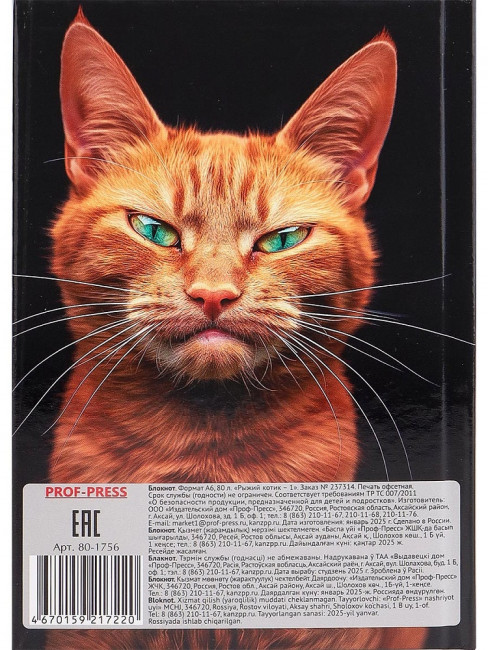 Бизнес-блокнот А6 80л клетка "Рыжий котик - 1", 7БЦ, склейка, Проф-Пресс/80-1756 (20)