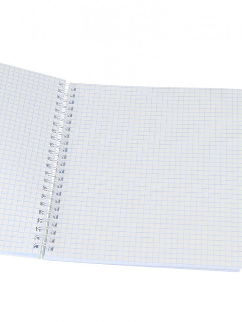 Тетрадь 96 клетка "Яркие граффити-1", на гребне, Проф-Пресс/96-8427 (6/48)