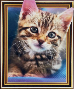 Алмазная мозака 40 см х 50 см, LT0499, полное заполнение, ASMAR