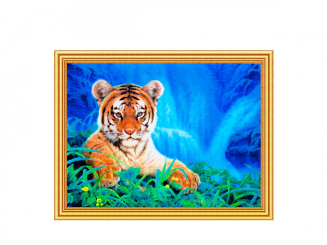 Картина 2 в 1: алмазная мозаика и раскрашивание по номерам 30х40 см ТИГРЕНОК НА ТРАВЕ, 1 дизайн, картонная упаковка