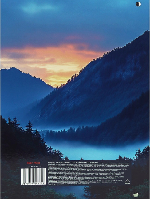 Тетрадь А4 120 клетка "Величие природы", на кольцах, Проф-Пресс/Т120-9171 (8) Тетрадь А4 120 клетка "Величие природы", на кольцах, Проф-Пресс/Т120-9171 (8)