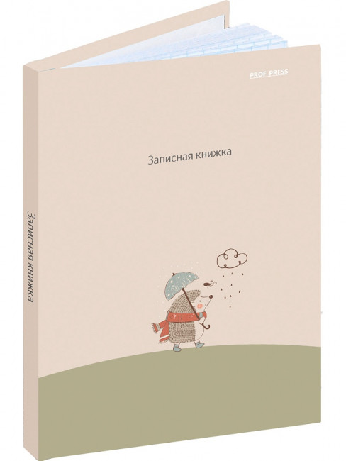 Записная книжка А6 48л клетка "Ёжик с зонтиком", склейка, Проф-Пресс/48-7097 (40)