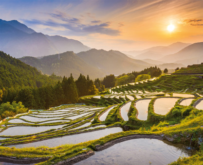 Интерьерная картина на холсте 50 х 40см "Рассвет на рисовых полях" с подрамником, ФРЕЯ/PCF-09