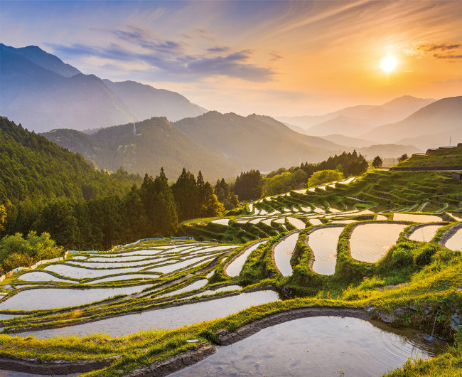 Интерьерная картина на холсте 50 х 40см "Рассвет на рисовых полях" с подрамником, ФРЕЯ/PCF-09 Интерьерная картина на холсте 50 х 40см "Рассвет на рисовых полях" с подрамником, ФРЕЯ/PCF-09