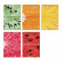 Блокнот А6 40л клетка "Exotic Fruits", 5 видов ассорти, BV/3-40-721 (50)