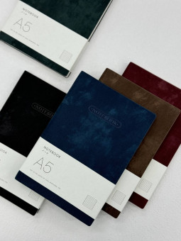 Ежедневник недатированный А5 100л, клетка, цвет ассорти, Dicai/173-25-S