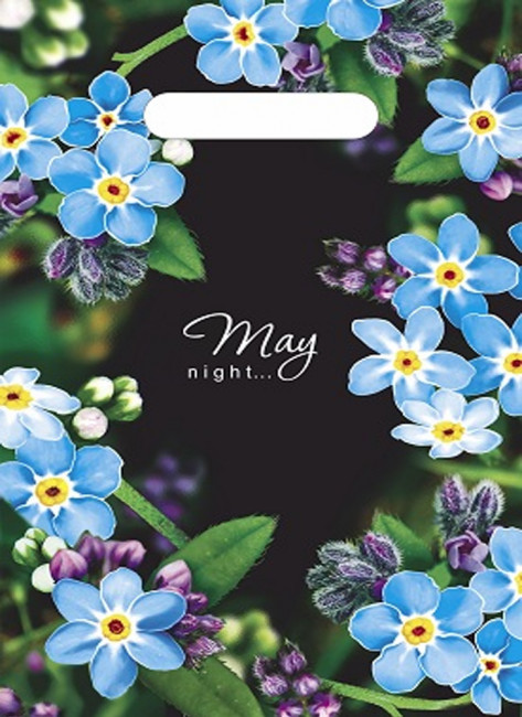 Пакет ПВД (20*30) 30 мкм "Майская ночь"