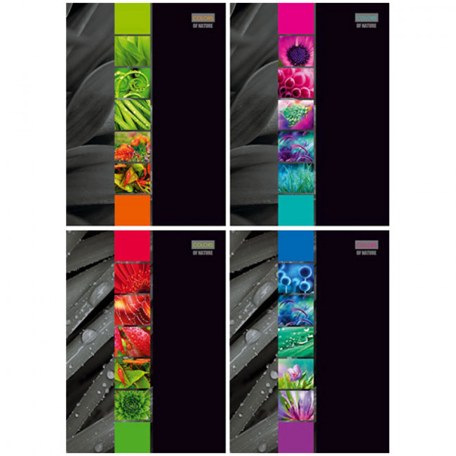 Тетрадь 100л. А4 клетка на гребне "Office book", твердая обложка, матовая ла (БиДжи) (Россия) (12)