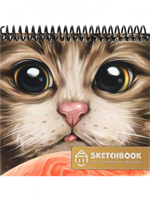 Скетчбук А6+ для карандаш зарис Кот (спираль, гл лам,мяг.обл,жест подл,64л,60г) 64-2412