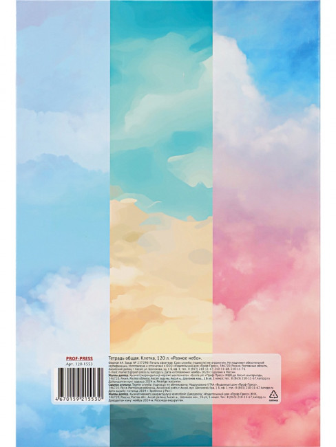 Тетрадь А4 120 клетка "Разное небо", на кольцах, Проф-Пресс/120-1553 (8) Тетрадь А4 120 клетка "Разное небо", на кольцах, Проф-Пресс/120-1553 (8)