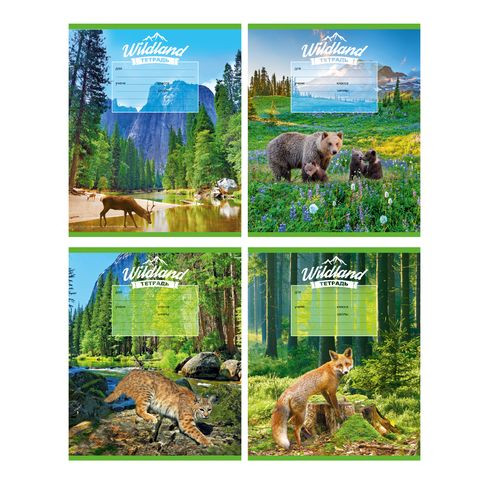 Тетрадь школьная А5 скоба 12л. одна линия "В заповеднике" (ассорти)