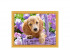 Картина 2 в 1: алмазная мозаика и раскрашивание по номерам 30х40 см ЩЕНОК В КОРЗИНЕ, 1 дизайн, картонная упаковка