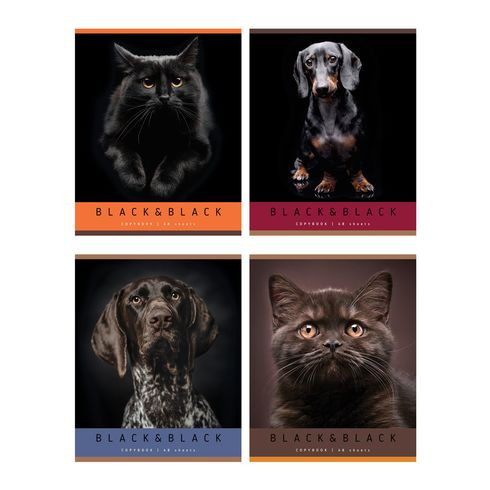 Тетрадь общая А5 скоба 48л. клетка "Black&Black" (ассорти) BG (4/56)