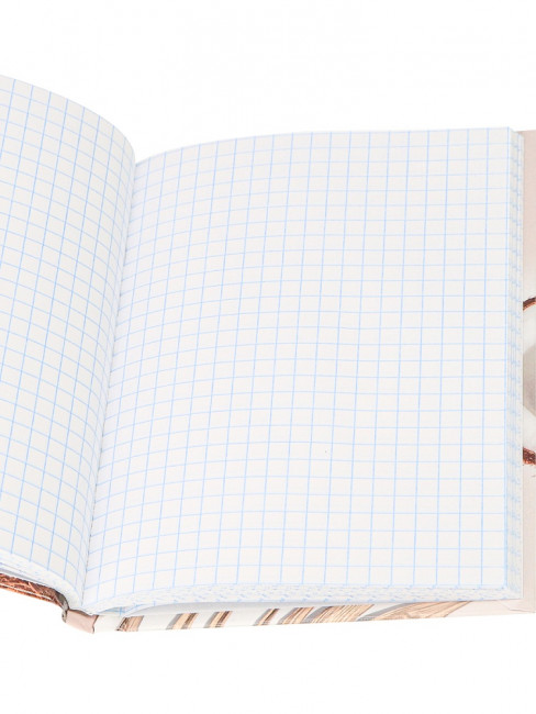 Записная книжка А6 80л клетка "Кокосы", 7БЦ, склейка, Проф-Пресс/80-6737 (20)