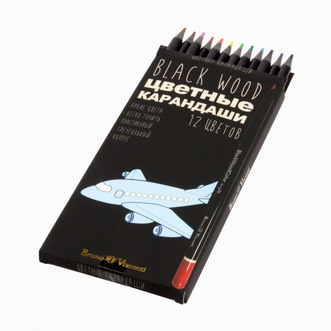 Карандаши цветные 2,8мм 12 цветов "BlackWoodColor", корпус пластик, 3 вида, BV/30-0097 (12) Карандаши цветные 2,8мм 12 цветов "BlackWoodColor", корпус пластик, 3 вида, BV/30-0097 (12)