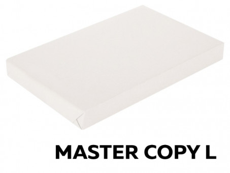 Бумага Master Copy L А4, 350 г/кв.м, 90 листов 00-00021857