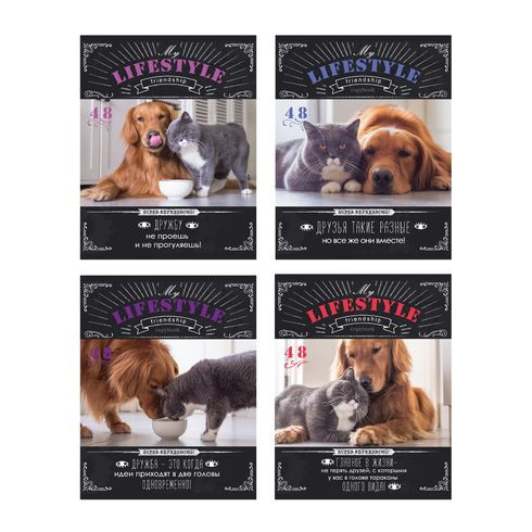 Тетрадь общая А5 скоба 48л. клетка "Cat&Dog" (ассорти)(10/80)