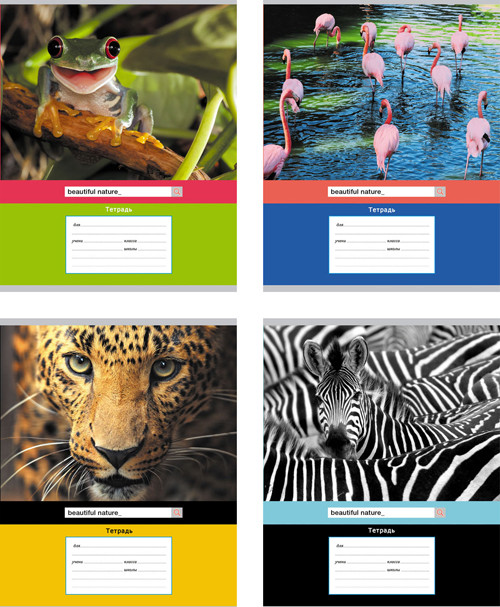 Тетрадь ученическая 18 л. в клетку  "Travel time" (ассорти) (БиДжи) (18/160)