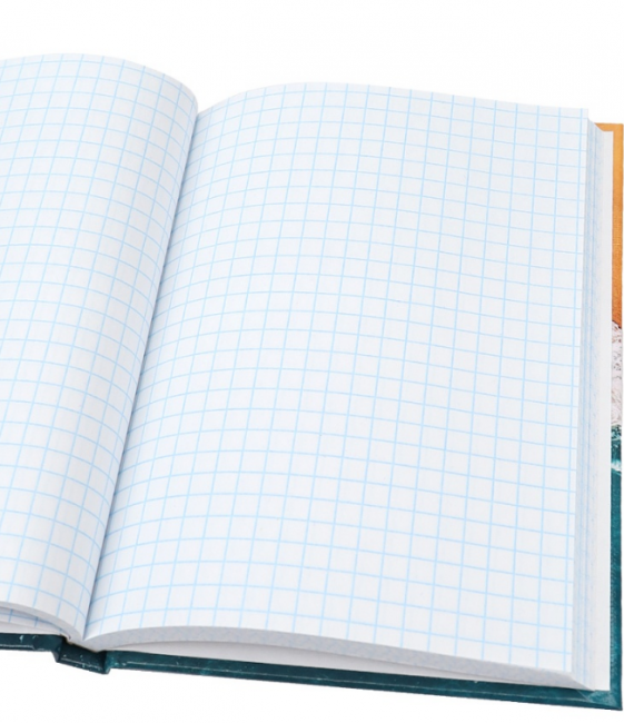 Записная книжка А6 80л клетка "Песок и морская пена", 7БЦ, склейка, Проф-Пресс/80-3730 (20)