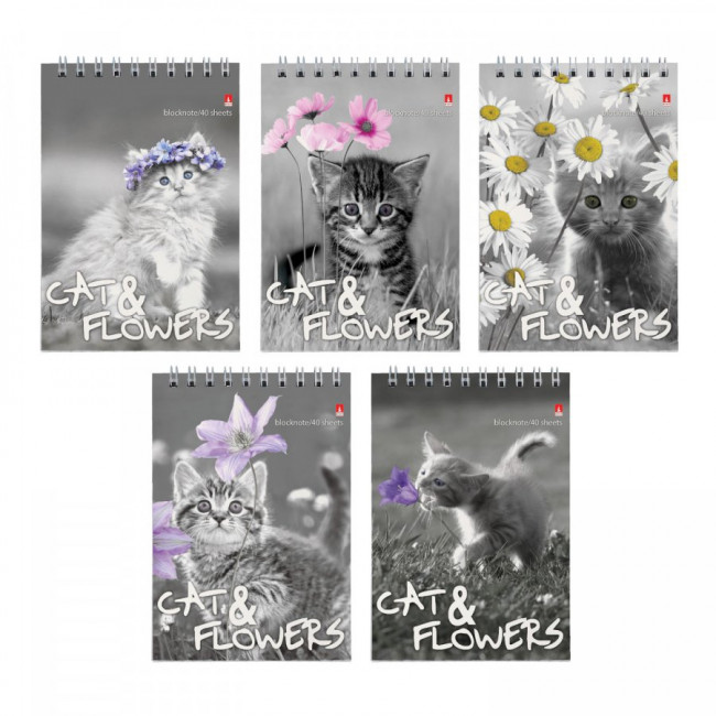 Блокнот А6 40л клетка "Котята", 5 видов ассорти, BV/3-40-028 (50)