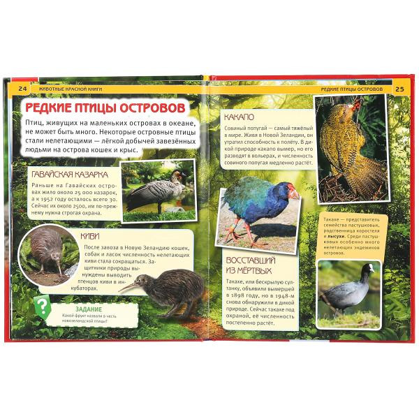 Энциклопедия «Животные красной книги». Формат: 197 х 255мм 48стр, Умка Энциклопедия «Животные красной книги». Формат: 197 х 255мм 48стр, Умка