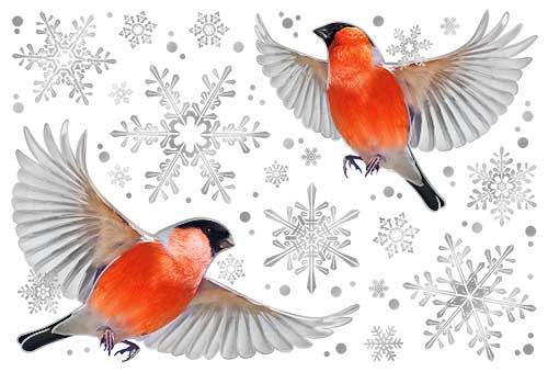 Набор наклеек рн4м-21 (25*17)