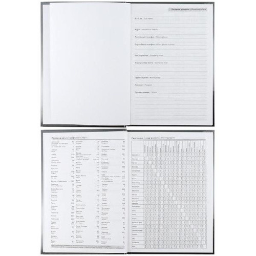 Ежедневник недатированный А5 80л "Бег коня", 7БЦ, глянц.ламинирование, Проф-Пресс/80-4700