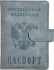 Обложка на паспорт WENZER OFFiCE, РФ Паспорт, на кнопке, св.голубая, эко кожа