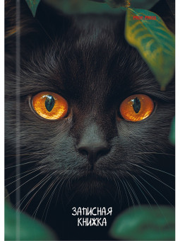 Записная книжка А6 96л клетка "Взгляд чёрного кота", 7БЦ, склейка, Проф-Пресс/96-7563 (20) Записная книжка А6 96л клетка "Взгляд чёрного кота", 7БЦ, склейка, Проф-Пресс/96-7563 (20)