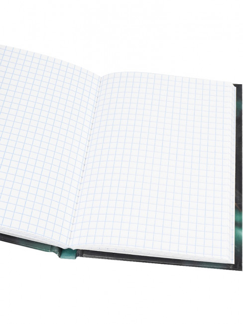 Записная книжка А6 96л клетка "Взгляд чёрного кота", 7БЦ, склейка, Проф-Пресс/96-7563 (20)