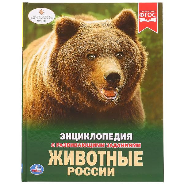 Энциклопедия с развивающими заданиями «Животные России». Формат: А4 48стр, Умка Энциклопедия с развивающими заданиями «Животные России». Формат: А4 48стр, Умка
