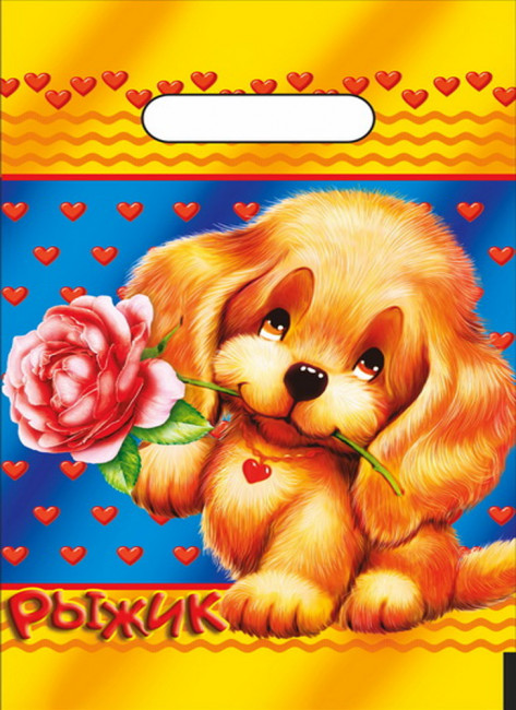 Пакет ПВД (20*30) 30 мкм "Рыжик"