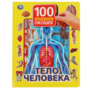 Книга с окошками «Тело человека». Формат: 222х282мм 12стр, Умка