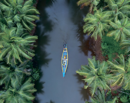 Интерьерная картина на холсте 50 х 40см "Тропическая тишина" с подрамником, ФРЕЯ/PCF-29