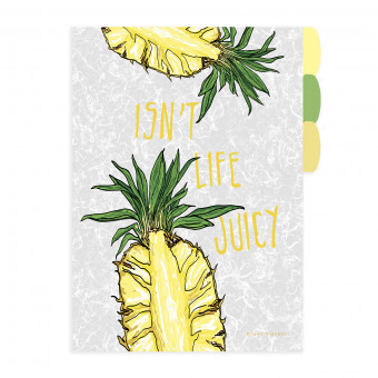 Папка-уголок А4 "Фрукты", с тремя отделениями, BV/14-035/05 (12)