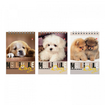 Блокнот А6 40л клетка "Собаки", 3 вида ассорти, BV/3-40-297 (50)