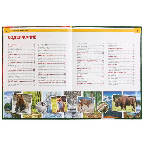Энциклопедия «Лесные животные». Формат: 197 х 255мм 48стр, Умка