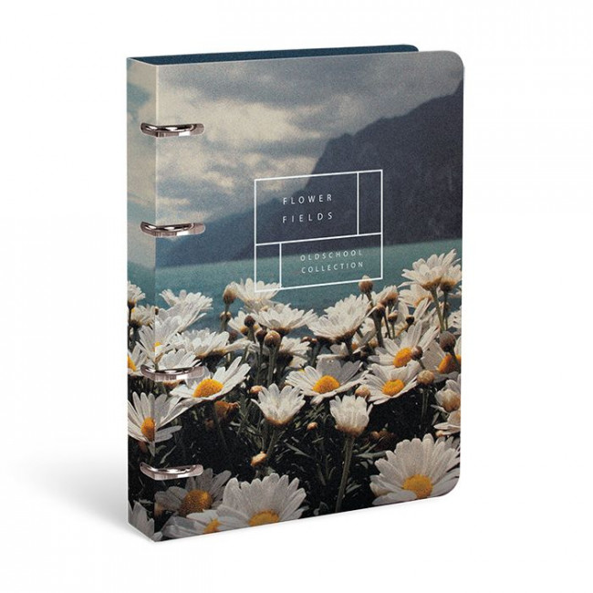 Тетрадь А5 120л клетка, на кольцах, со см. блоком, SUMMERTIME SADNESS  GRADIENT LOREX/ LXNBCL-SMS (10)