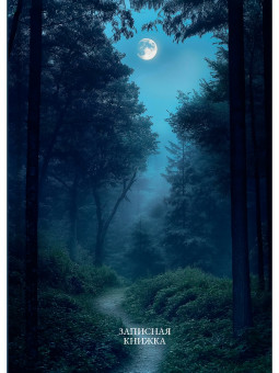 Записная книжка А6 96л клетка "Лунные пейзажи - 1", 7БЦ, склейка, Проф-Пресс/ЗК96-0082 (20)