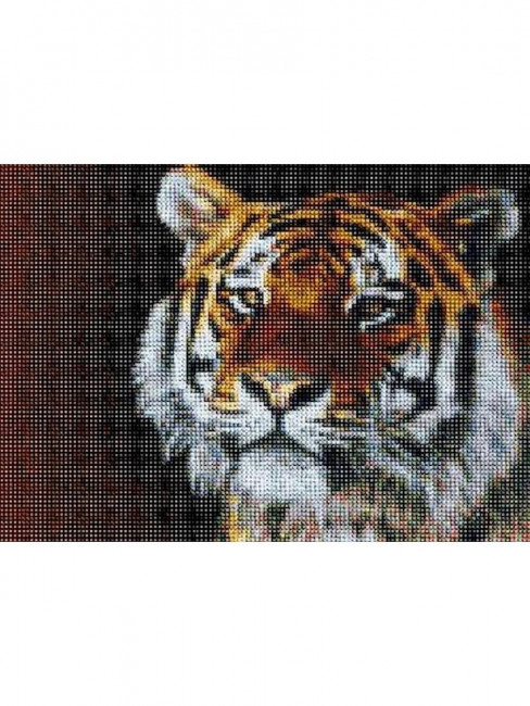 Алмазная мозаика 30*40 "Тигр", полная выкладка, MOZ050