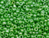 Бисер "ASMAR" размер №8, вес: 450 г, салатовый хамелеон