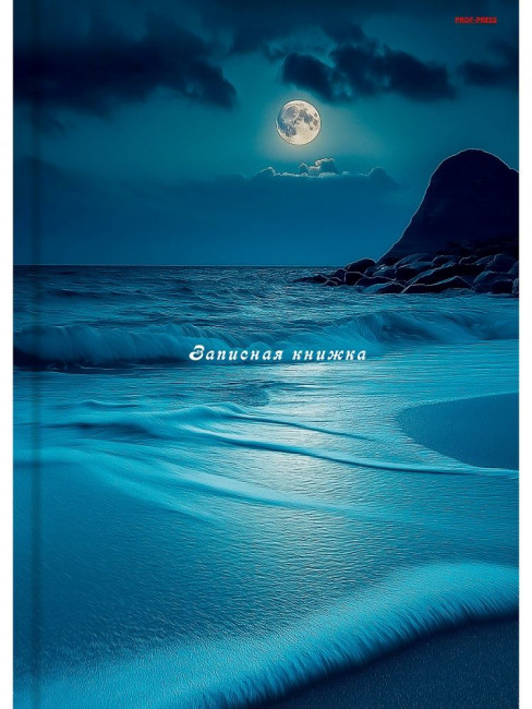 Записная книжка А6 96л клетка "Ночное побережье", 7БЦ, склейка, Проф-Пресс/96-7564 (20)