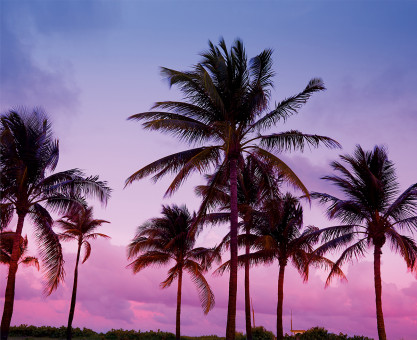 Интерьерная картина на холсте 50 х 40см "Южный вечер" с подрамником, ФРЕЯ/PCF-15