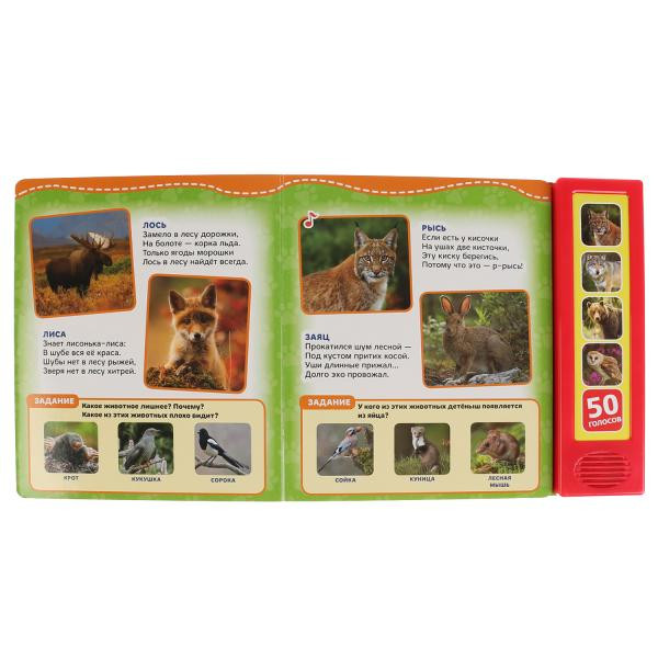 Говорящая энциклопедия «Лесные животные. В. Степанов», формат: 200х175мм, Умка